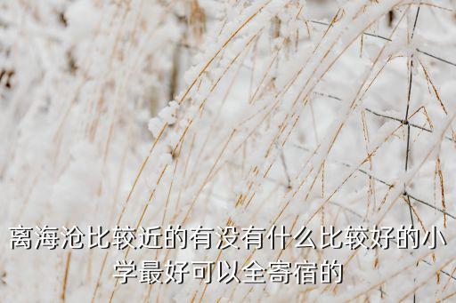 离海沧比较近的有没有什么比较好的小学最好可以全寄宿的