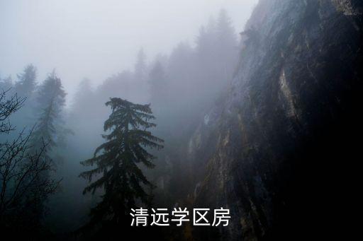 清远学区房