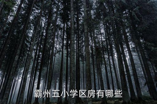 霸州五小学区房有哪些
