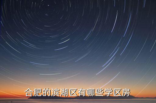 合肥的滨湖区有哪些学区房