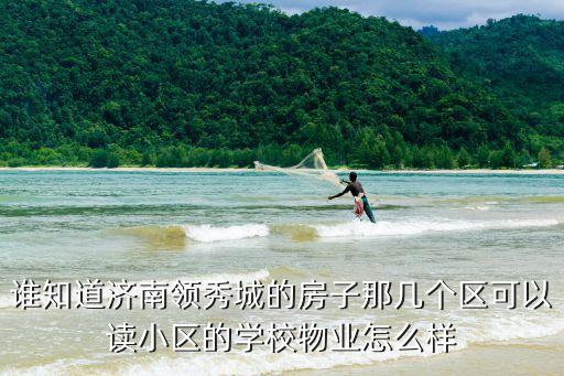 谁知道济南领秀城的房子那几个区可以读小区的学校物业怎么样