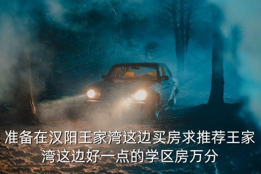 准备在汉阳王家湾这边买房求推荐王家湾这边好一点的学区房万分