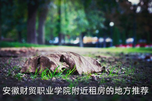 安徽财贸职业学院附近租房的地方推荐