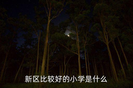 新区比较好的小学是什么
