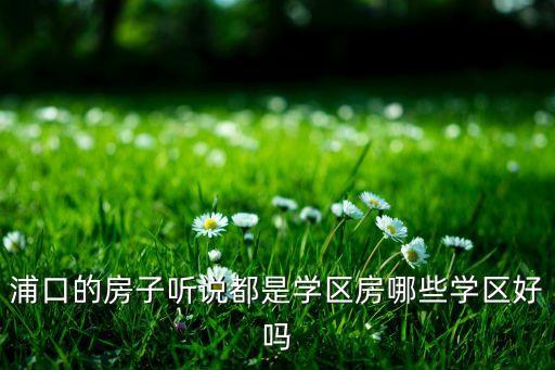 浦口的房子听说都是学区房哪些学区好吗