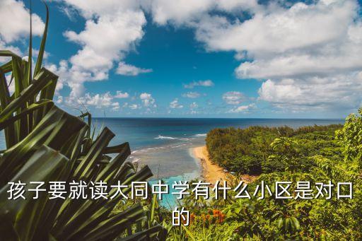 孩子要就读大同中学有什么小区是对口的