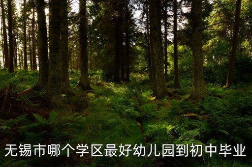 无锡二手房哪个学区房好，无锡的小学哪些是最好的要买在哪些小区里最好离学前街近的谢
