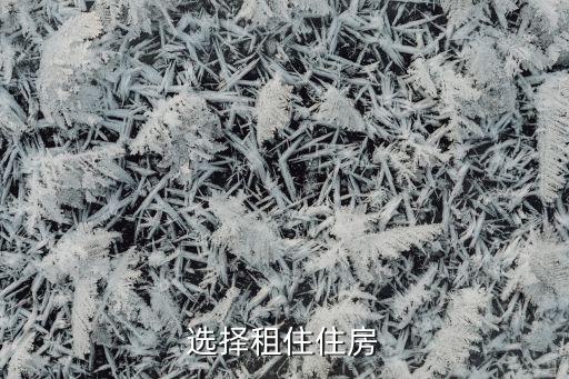 选择租住住房