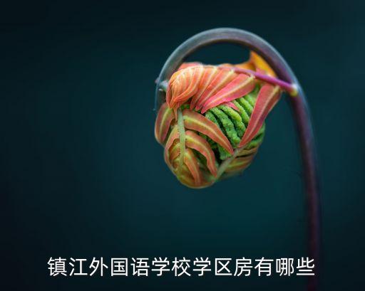 镇江外国语学校学区房有哪些