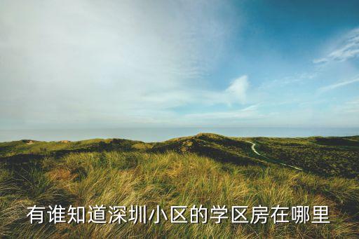 有谁知道深圳小区的学区房在哪里