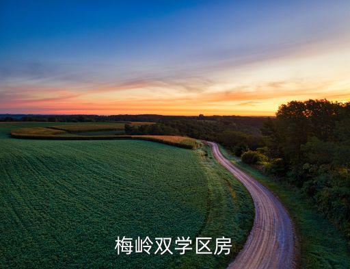 梅岭双学区房