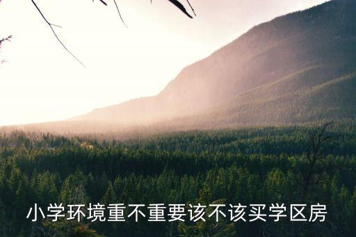 小学环境重不重要该不该买学区房