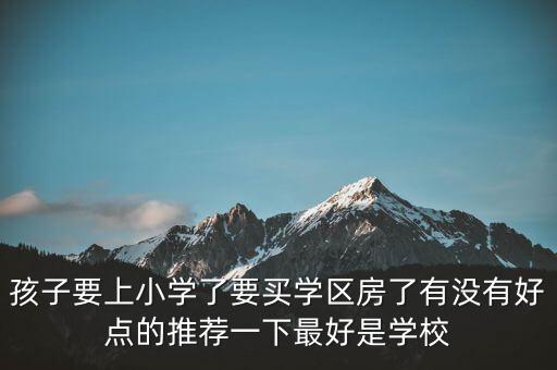 孩子要上小学了要买学区房了有没有好点的推荐一下最好是学校