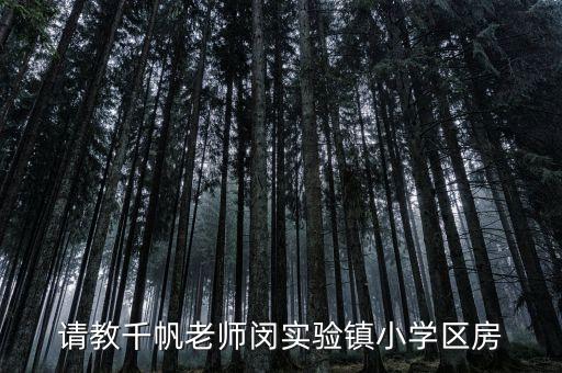 请教千帆老师闵实验镇小学区房