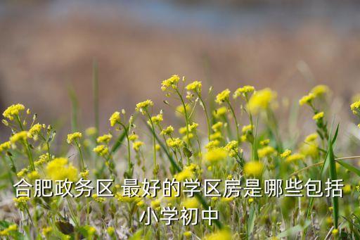 合肥政务区 最好的学区房是哪些包括小学初中