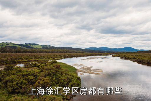 上海徐汇学区房都有哪些