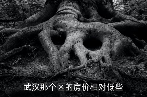 蔡甸区哪个学区房好，湖北武汉蔡甸区哪些网吧的包间满好带空调的