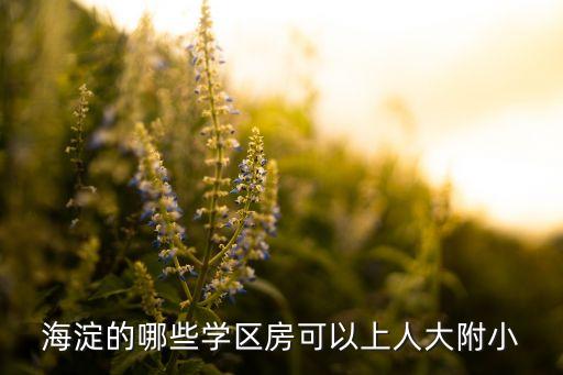 海淀的哪些学区房可以上人大附小