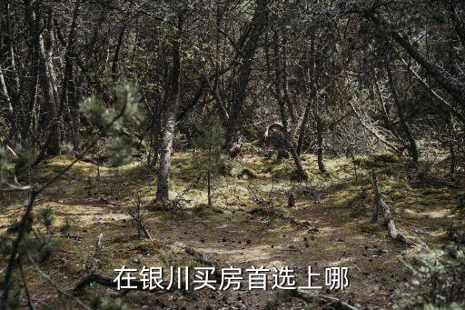在银川买房首选上哪