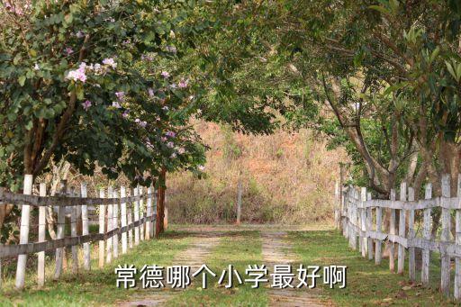 常德哪个小学最好啊