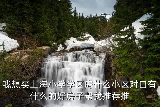 我想买上海小学学区房什么小区对口有什么的好房子帮我推荐推