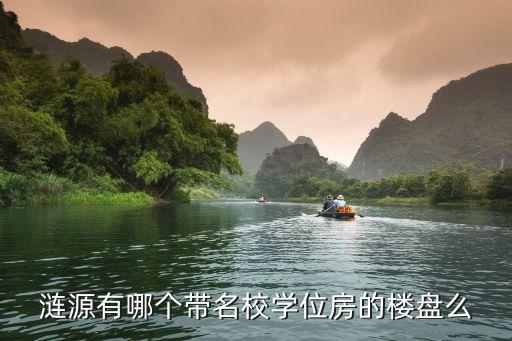 涟源哪个小区学区房好，涟源有没有好的楼盘最好能带学位因为孩子要上小学了