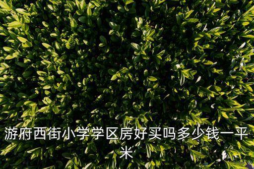 游府西街小学学区房好买吗多少钱一平米