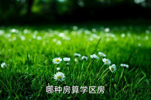 井研哪些是学区房，求教达人什么是学区房