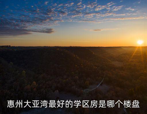 惠州学区房买哪个小区，惠州大亚湾最好的学区房是哪个楼盘