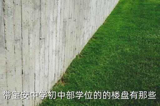 带宝安中学初中部学位的的楼盘有那些