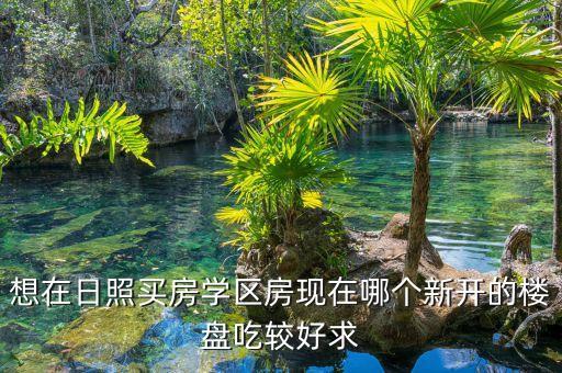 想在日照买房学区房现在哪个新开的楼盘吃较好求