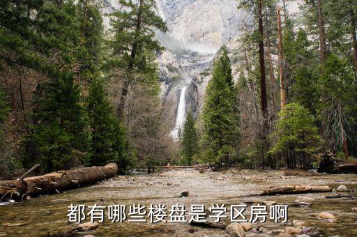 路锦家园是哪个学区房啊，北京上地附近的学区房现在什么价位啊