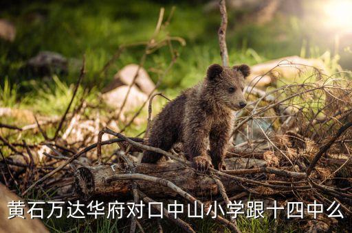 万达华府属于哪个学区房，黄石万达华府对口中山小学跟十四中么