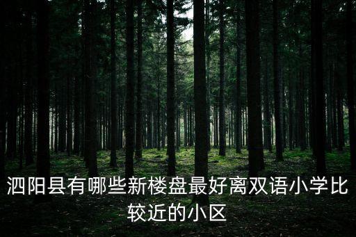泗阳县有哪些新楼盘最好离双语小学比较近的小区