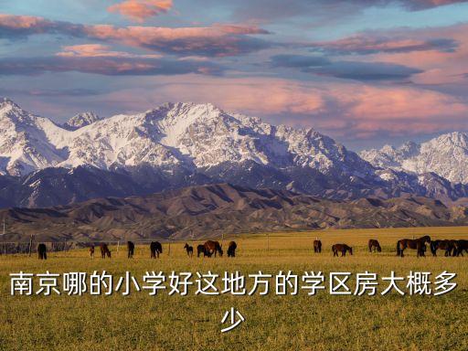 南京哪的小学好这地方的学区房大概多少