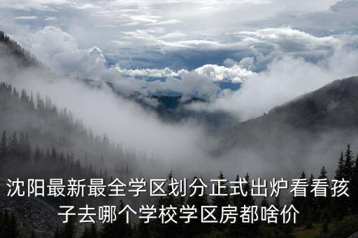 沈阳最新最全学区划分正式出炉看看孩子去哪个学校学区房都啥价