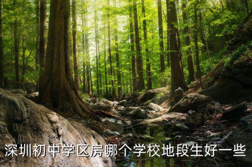 深圳初中学区房哪个学校地段生好一些