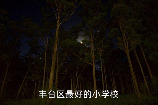 丰台学区房哪个学校好，丰台区最好的小学校