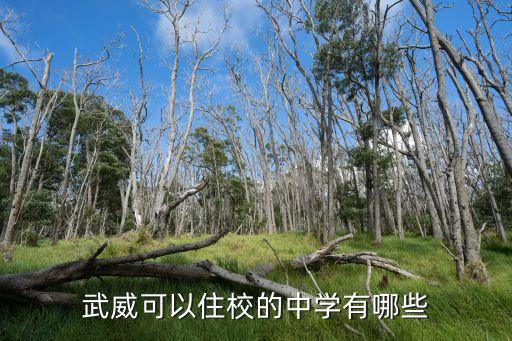 武威可以住校的中学有哪些