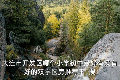 大连市开发区哪个小学初中最好有没有好的双学区房推荐下  搜