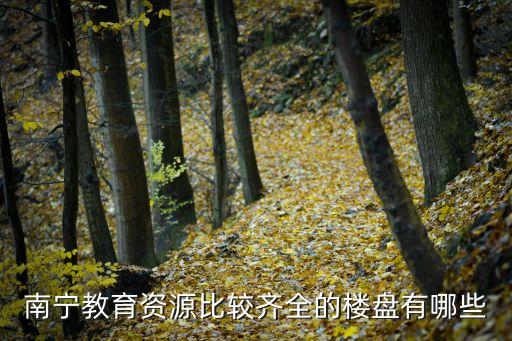 南宁教育资源比较齐全的楼盘有哪些