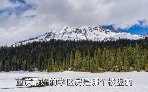 重庆哪个大学学区房好，重庆大学城学位房我是外地户口买房完全为了孩子上学有知道的