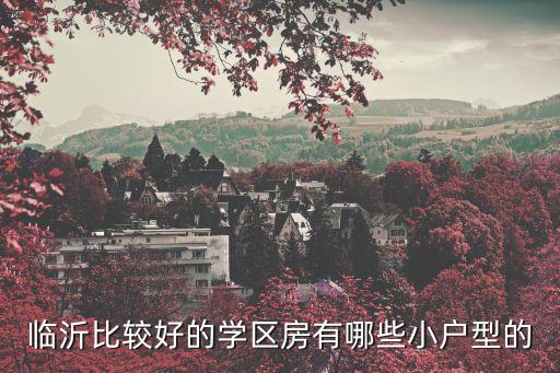 临沂比较好的学区房有哪些小户型的