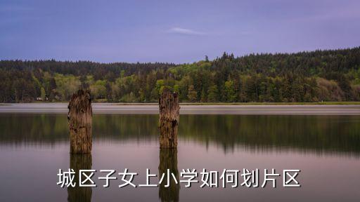 城区子女上小学如何划片区