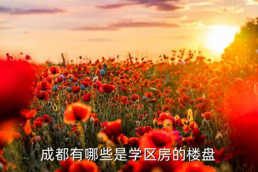 成都有哪些是学区房的楼盘