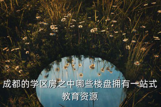 成武学区房有哪些，成都有哪些是学区房的楼盘