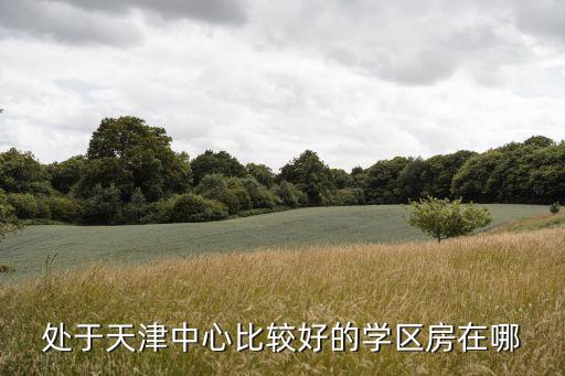 处于天津中心比较好的学区房在哪