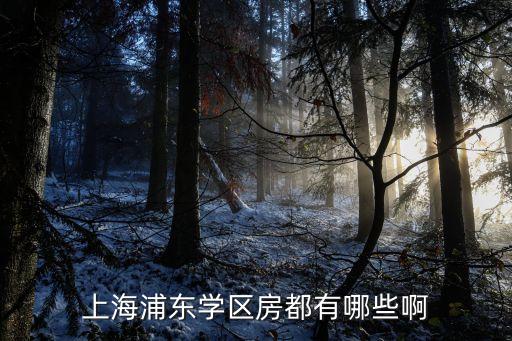 上海浦东学区房都有哪些啊