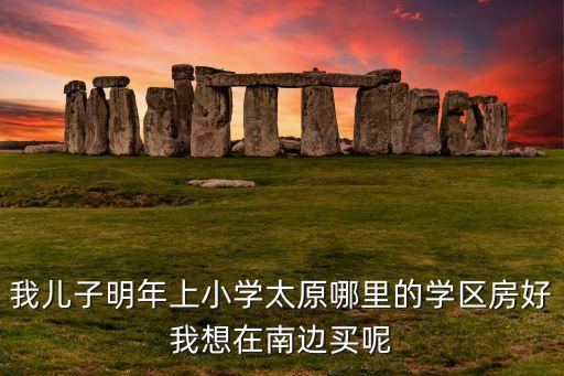 我儿子明年上小学太原哪里的学区房好我想在南边买呢