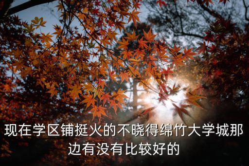 现在学区铺挺火的不晓得绵竹大学城那边有没有比较好的
